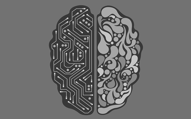 AI vs Human Brain